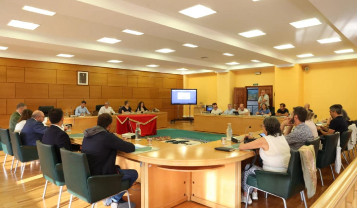 El pleno municipal aprueba los estatutos de la ECOXEM del polígono. 